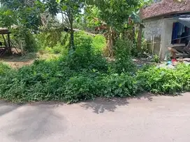 Dijual Tanah Murah Pekarangan di Keceme Catur Harjo sleman
