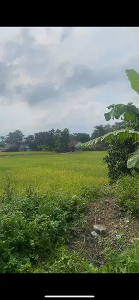 Dijual tanah di Babat, Legok, Tangerang (Lin)