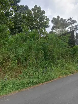 Tanah SHM di Tegalrejo Salatiga dekat Jln Lingkar,RS Puri Asih