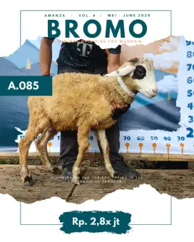 JUAL HEWAN QURBAN DOMBA