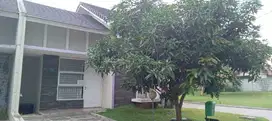 Dijual Rumah Serpong Garden 2 Cisauk Kab. Tangerang (Lnc)