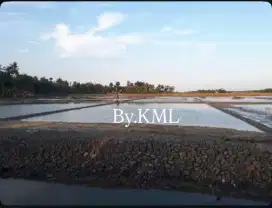 Dijual tambak aktif