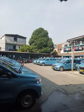 dicari supir bluebird 70 secepatnya