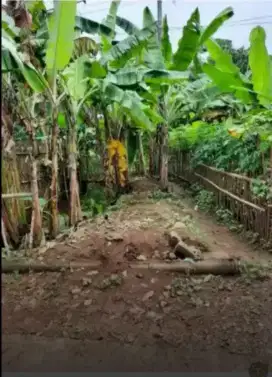 Disewakan lahan subur di Bojong Gede