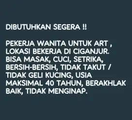 DIBUTUHKAN ART SEGERA!