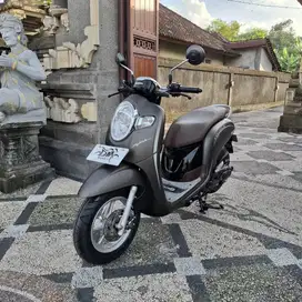 Scoopy Stylish th 2018