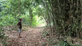 Tanah Dijual Murah Gunung Sindur