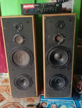 Ampli bluethooth 5 ampre dan speker