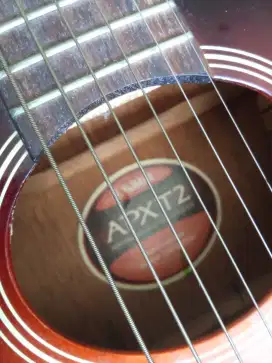 Gitar Travelling Yamaha APX T2