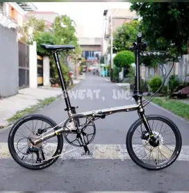 Fnhon Gust Titanium Color Disk Brake (Rare Color)