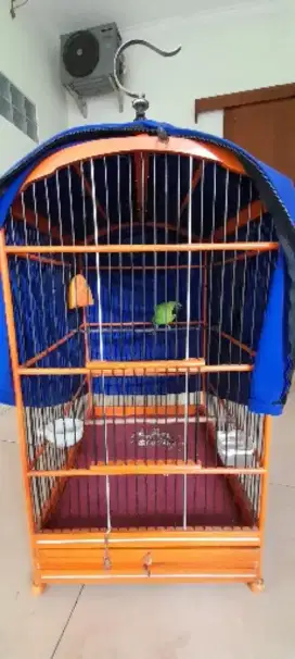 Kacer Dada Heejoo