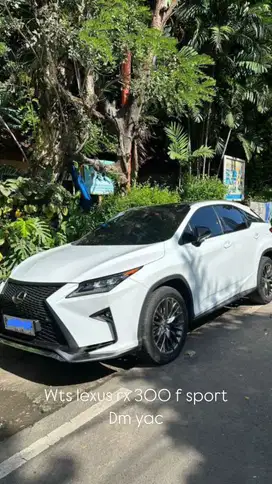 Lexus RX300 2018 Bensin
