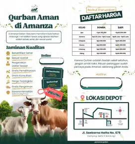 Hewan Qurban Domba dan sapi