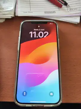 Iphone 12 promax 128