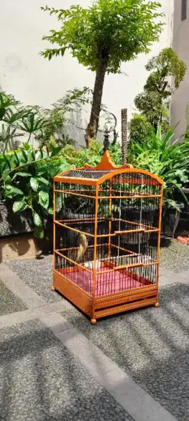 Burung kebon burja