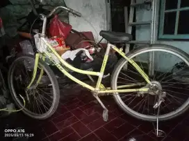 Sepedah dewasa kondisi bekas
