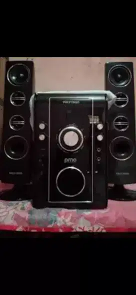 Speaker Polytron