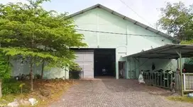 GUDANG RAYA LEBO SIDOARJO S7386