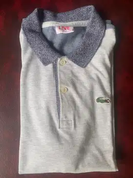 Polo Lacoste LIVE