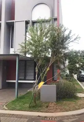 Rumah BSD Freja Suites Full Furnish Hook