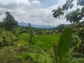 Lokasi jalan lebar Sangat Cocok buat usaha / yayasan D bogor timur