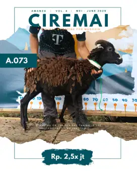 Jual Hewan Qurban