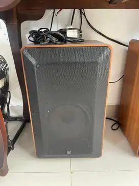 Speaker Ads L570 2 way