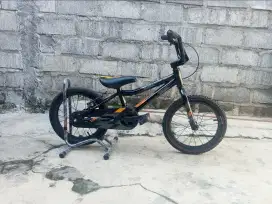 Sepeda anak 16 polygon champ