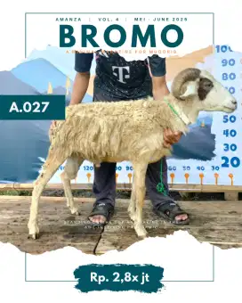 Jual Hewan Qurban