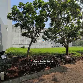Dijual Tanah Dalam Cluster Favorite Di Nieuw Indie Araya Malang(OLX364