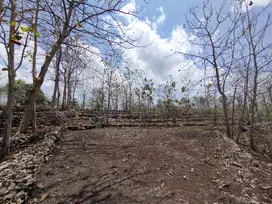 Dijual tanah murah datar sudah shm di Semanu