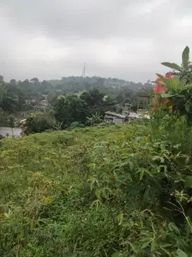 di jual lahan kosong view gunung untuk villa di gunungeulis dekat golf