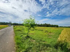 Di Jual tanah sanagat strategis mangku jalan kabupaten