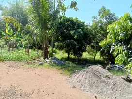 Tanah MURAH SHM daerah Kalibawang Kulon Progo dekat Sendang Sono
