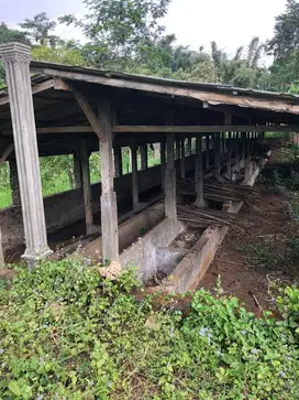 Jual tanah nongkojajar bonus rumah dan kandang sapi
