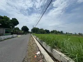 Dijual Murah Tanah Purwomartani Sleman, Tepi Jalan