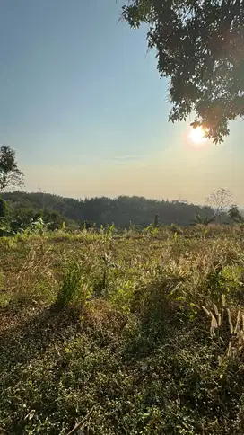 Raya Trawas Mojosari Jatijejer Pungging Mojokerto