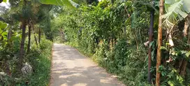 Lahan darat bisa untuk usaha ternak kambing atau ayam, bogor