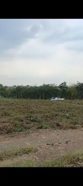 Dijual Lahan besar cocok untuk gudang atau perumahan