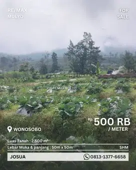 Dijual Tanah di Wonosobo Dekat dengan Area Wisata