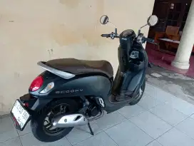HONDA SCOOPY PRESTIGE 2024 GOOD CONDITION