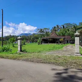 Jual Cepat tanah di Jambu bonus rumah ( Bekas Ponpes Tahfidz )