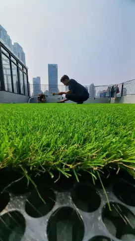 Rumput sintetks outdoor jepang deluxe