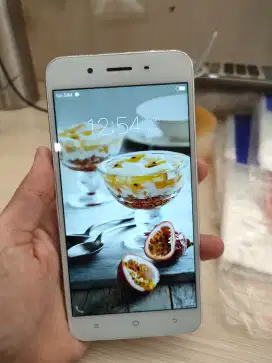 Vivo Y 66 murah