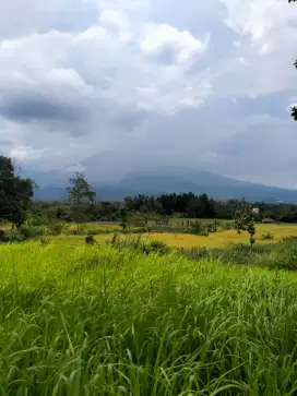 lokasi View gunung salak Kontur traf Sejuk