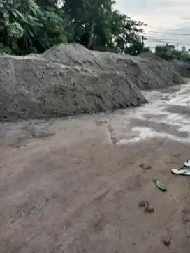 Pasir murni abadi
