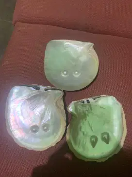 Mutiara Laut Asli