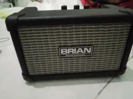 Speaker ampli gitar brian 4in
