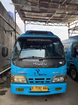 Isuzu ELF NKR 2016