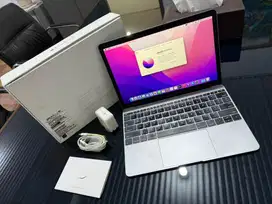 Macbook (Retina, 12-inch, Early 2016)
